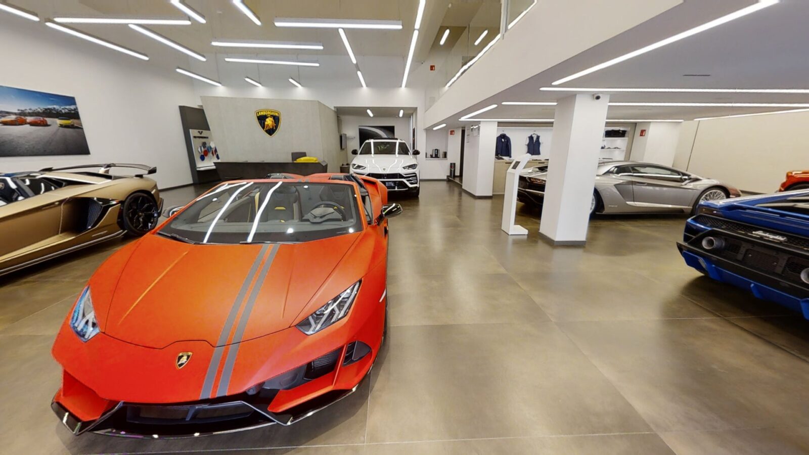 Lamborghini Showroom