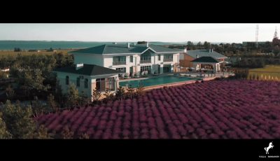 Видеоролик для Villa Romanov 3D Model